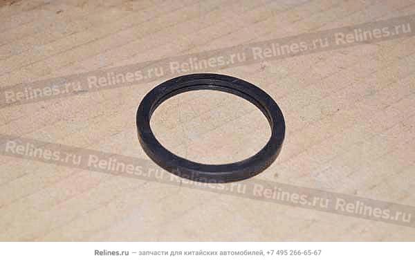 Seal-thermostat - 372-B***6021