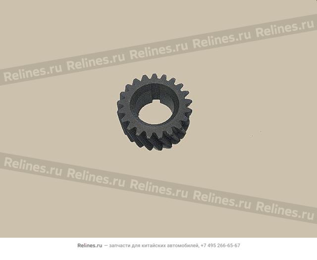 Timing gear-crankshaft