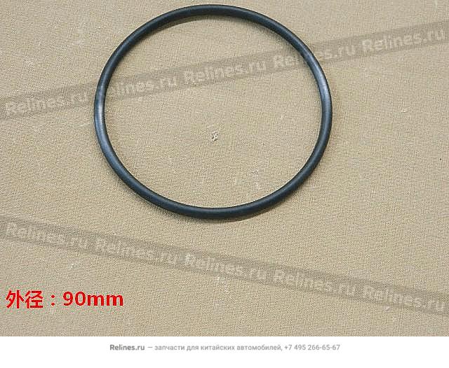 Seal ring - 1017***ED30