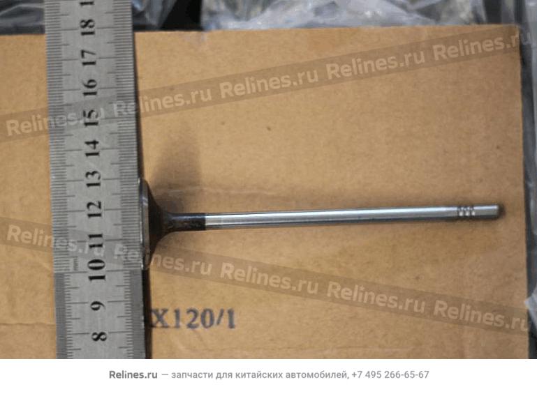 Intake valve - 101***160