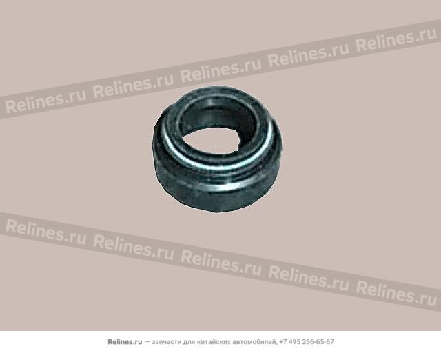 Oil seal