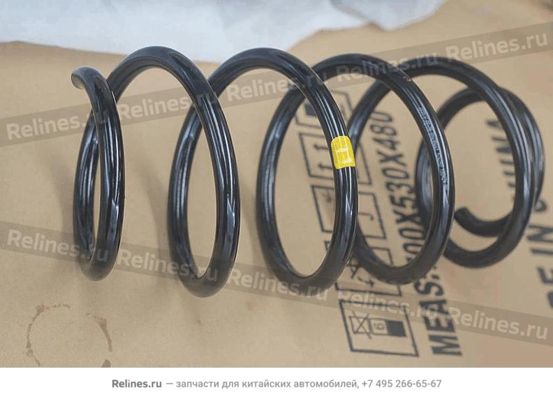 Coil spring, frt