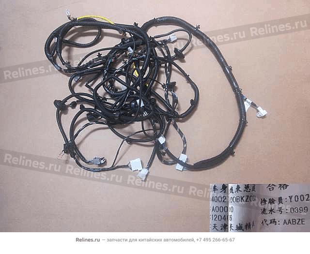 Harness assy body - 40021***Z08A