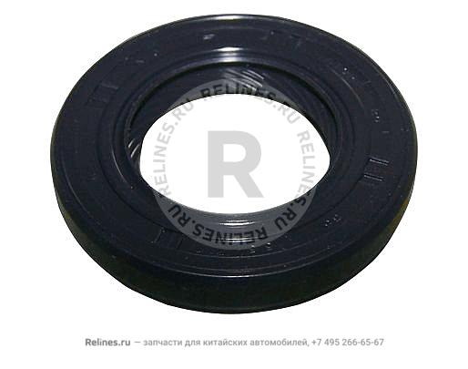 Oil seal - input shaft