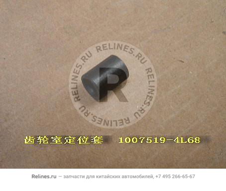 Locating bushing-timing gear housing