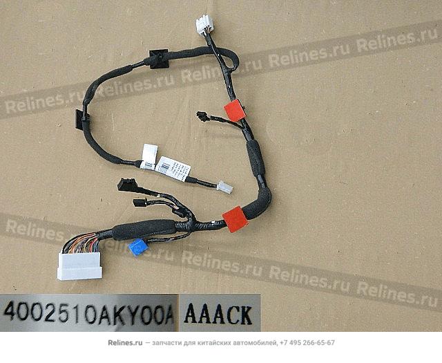 Wiring-fr door guard plate LH - 40025***Y00A