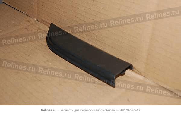 Protective cover-fr door RH