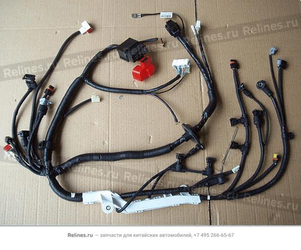 Engine wiring harness assy. (Euro IV)