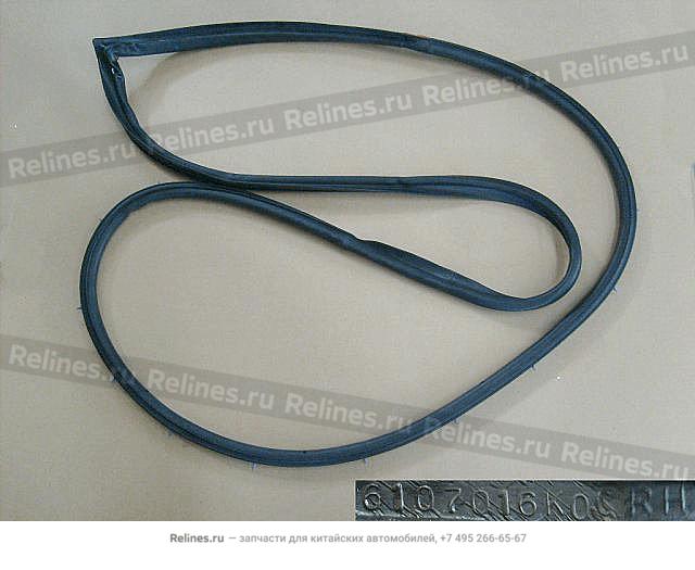 Front door sealing strips RH - 61070***00XA