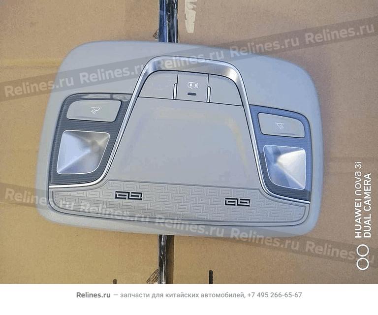 Frt reading lamp assy