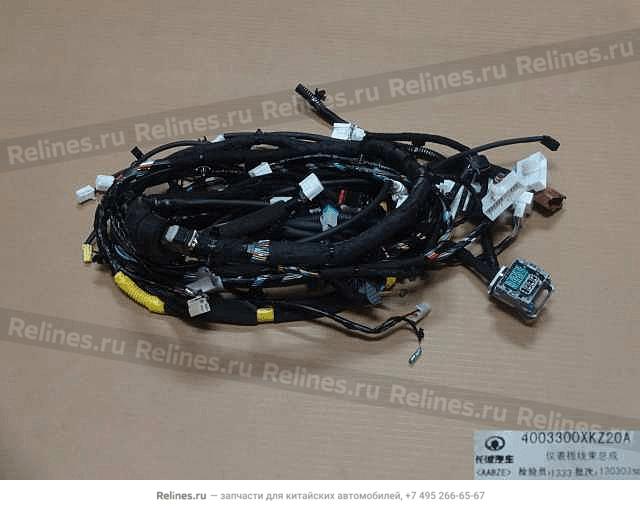 Harness assy inst panel - 40033***Z20A