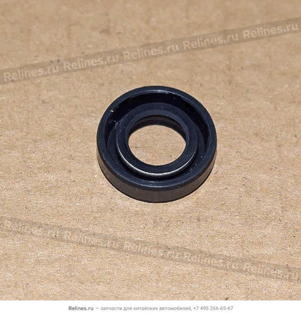 Oil seal-shift shaft