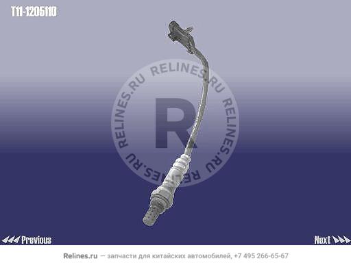 Oxygen sensor