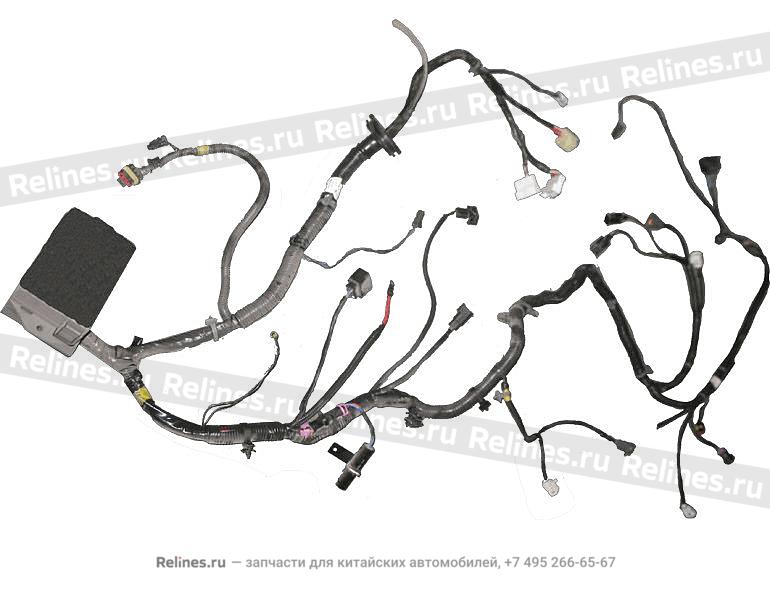 Cable assy - FR chamber