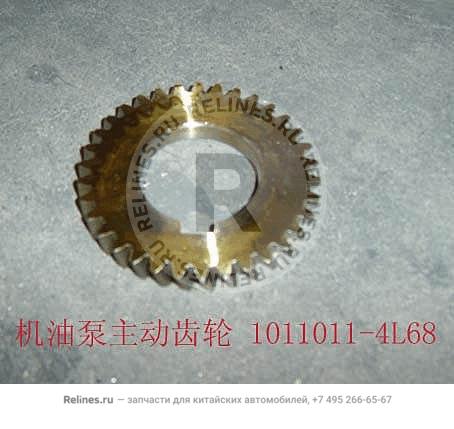Drive gear-oil pump
