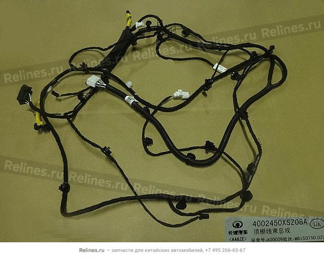 Roof harness assy - 40024***Z08A