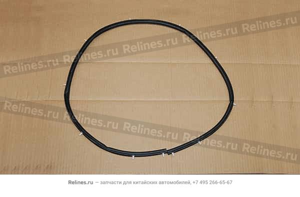 Hood seal RR