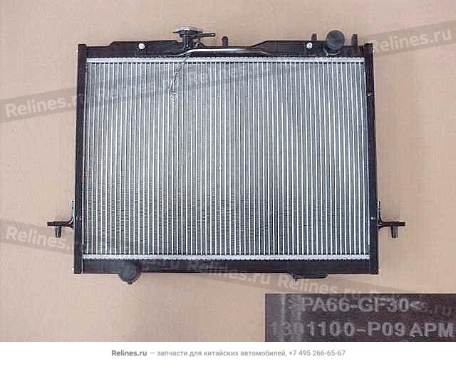 Radiator assy - 1301***P09