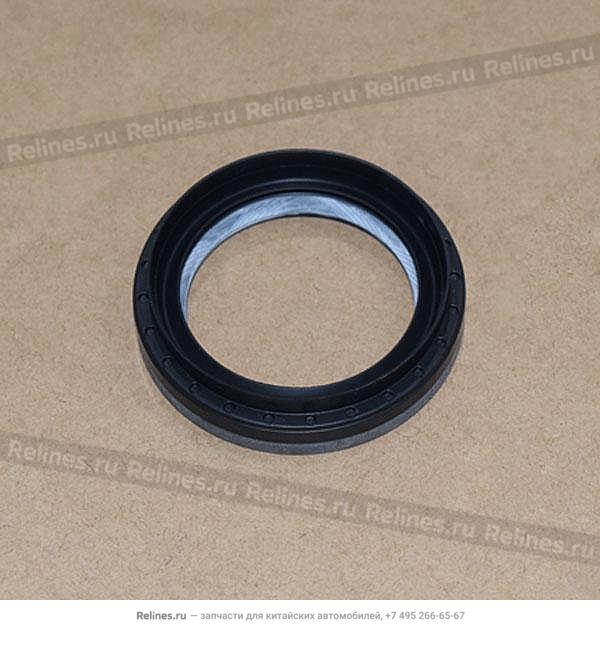 Oil seal-differential