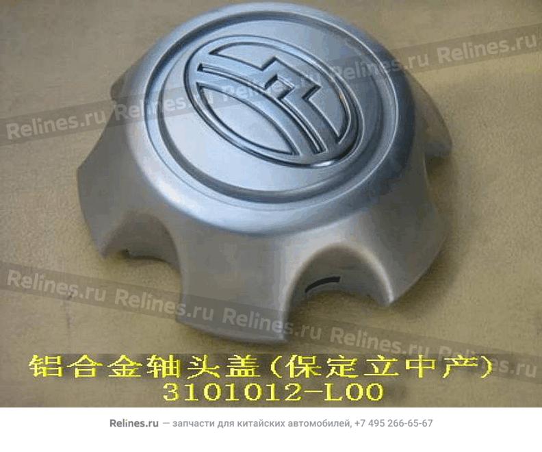 Hubcap(lizhong) - 3101***L00