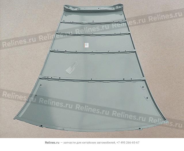 Roof panel assy - 57010***56XA