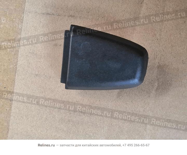 Cover-rr side door otr opening LH - 508***900