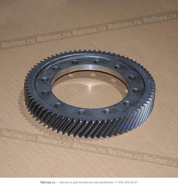 Differential gear ring