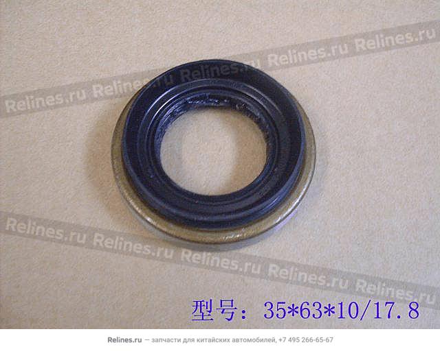 Oil seal(cold place export FR shaft axle - 23030***01-B1