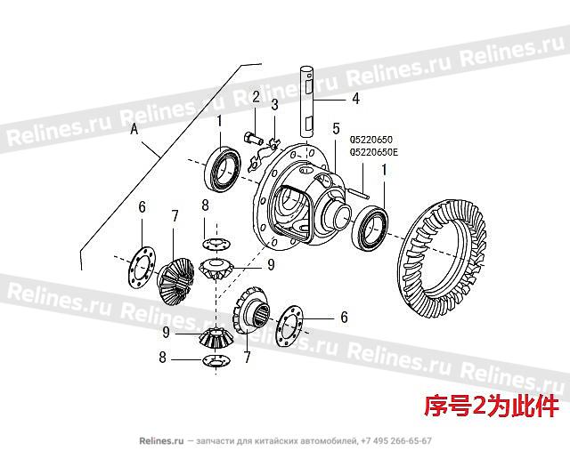 Bolt-driven gear to differential - 240202***01-B1