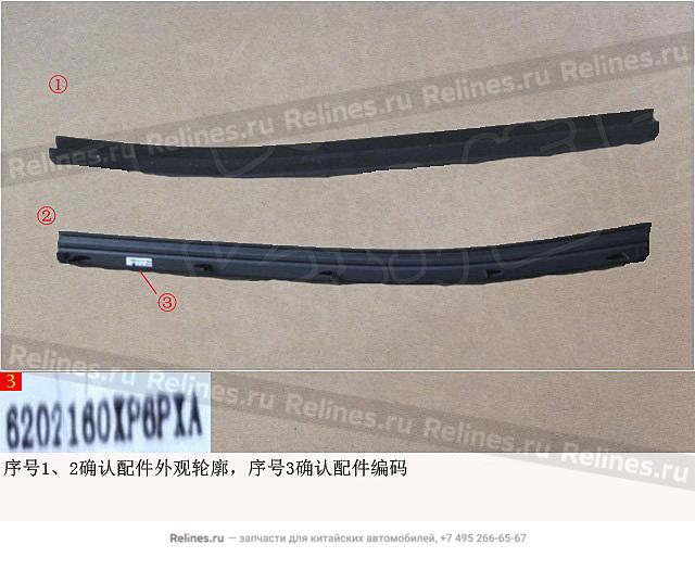 Interior weatherstrip RR door RH