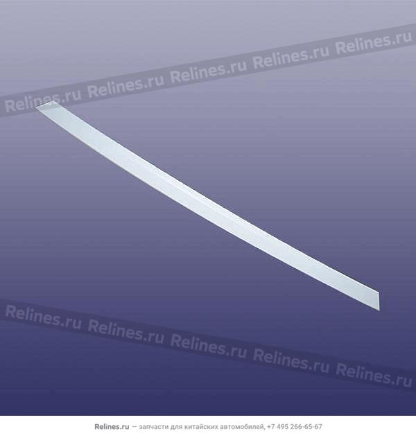 Стрип двери задней 5-й T1A/T1D