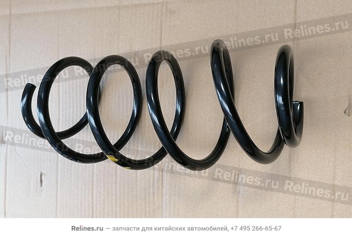 Coil spring, frt