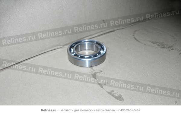 Bearing-splined shaft