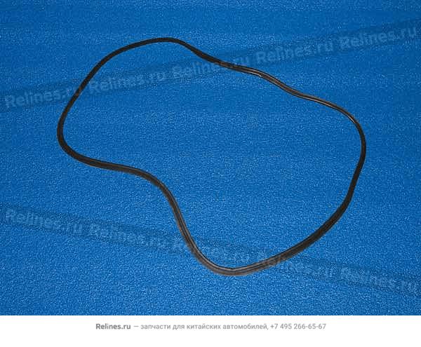 Seal strip-trunk - A15-5***31FL