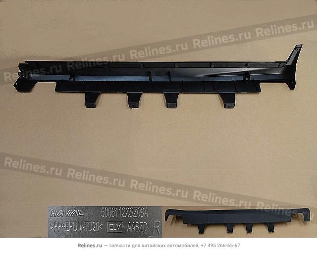 Trim panel body door sill RH - 50061***Z08A