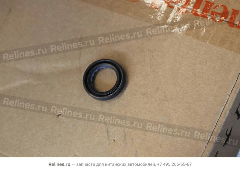 Oil seal,input shaft - 301***988