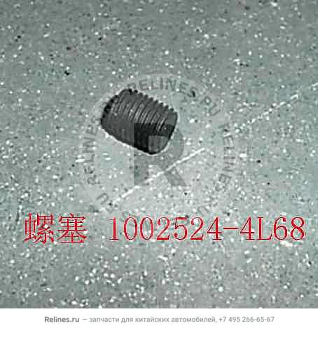 Plug - 1002***4L68