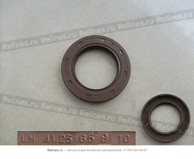 Oil seal assy RR body