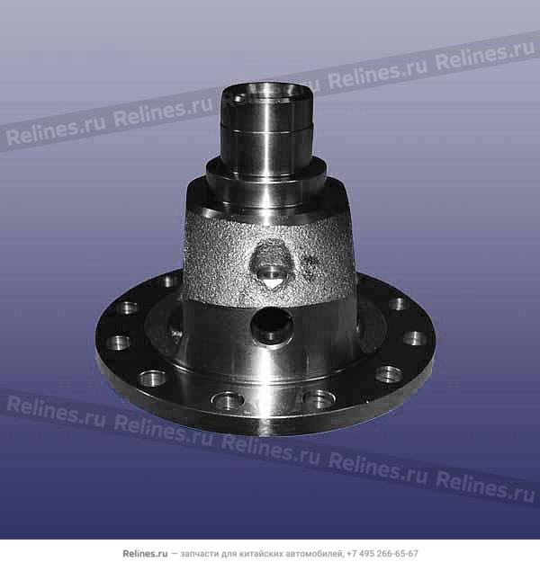 Differential housing - F621A-***302S1