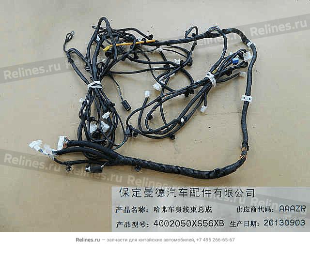 Body harness assy - 40020***56XB