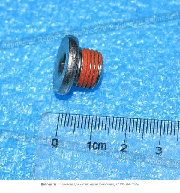 Screw plug - F050***2183