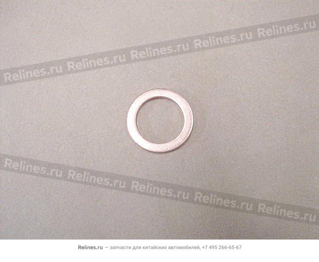 Gasket-oil drain plug - 1009***E02