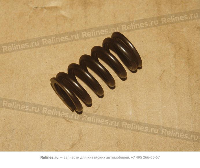 Valve spring