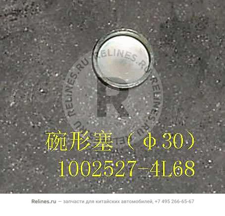 Bowl shape plug(¦µ30) - 1002***4L68