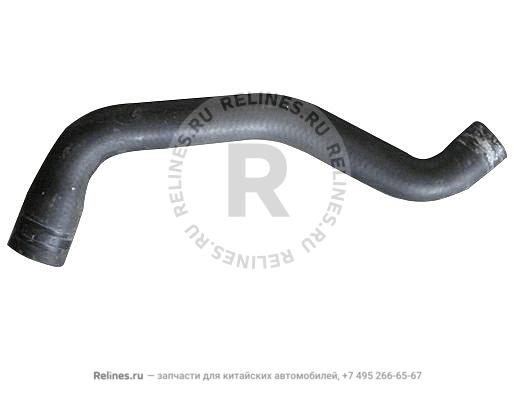 Hose - radiator outlet