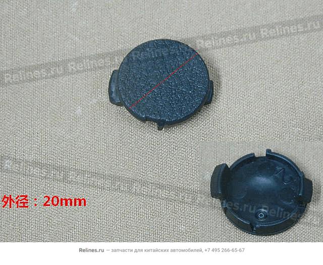 Screw plug cover tail door