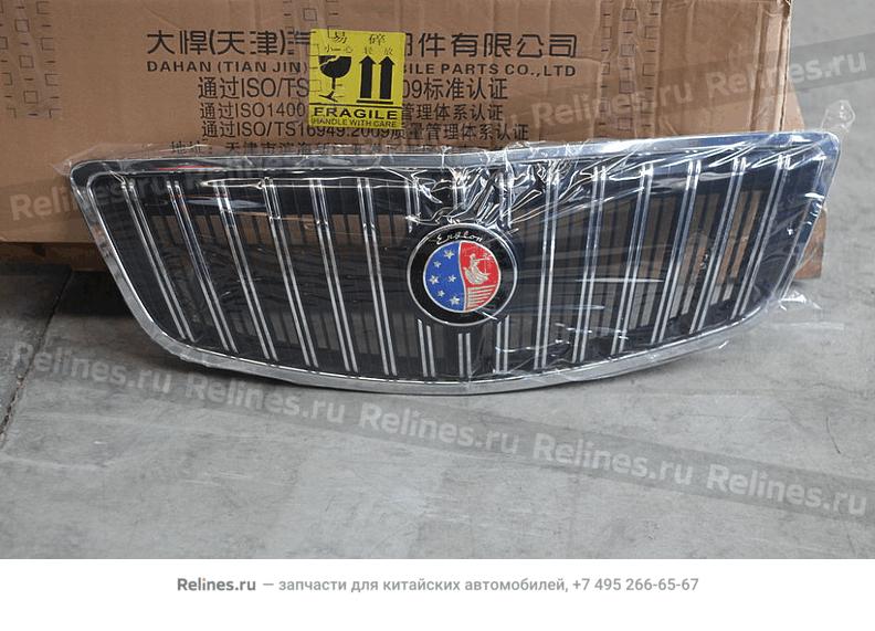 Radiator grill - 101***271