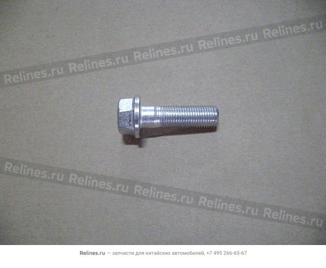 Болт шарнира передней подвески нижний