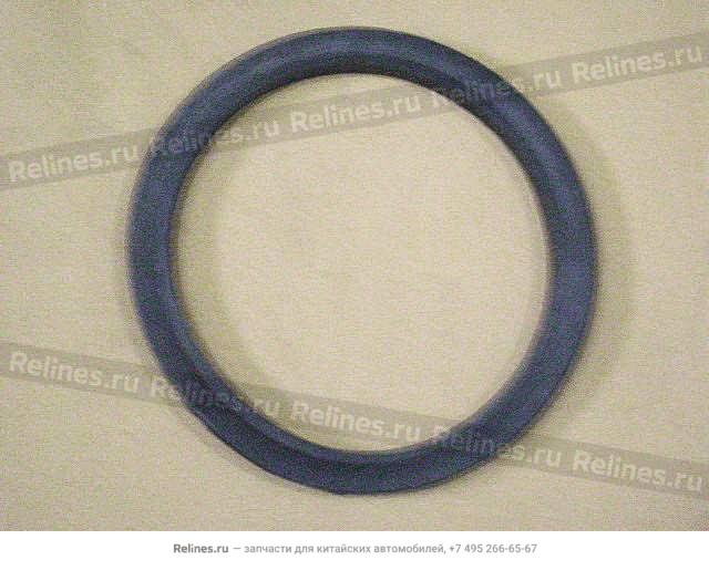 Gasket Filter element-air cleaner(small) - 1109***D01