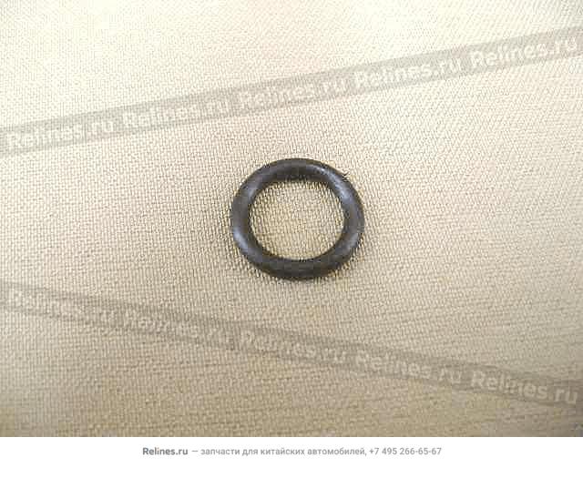 O ring-dipstick guide - 1009***E10